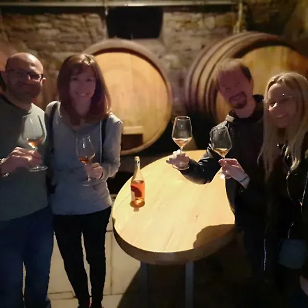 Boutique & Winery Zorz Gospodarstwo agroturystyczne Vipava