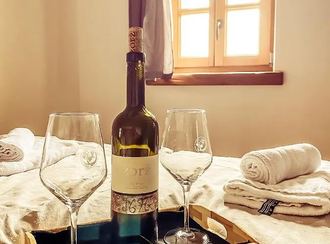 Boutique & Winery Zorz * Vipava