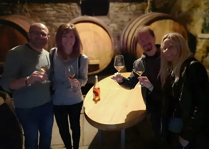 Boutique & Winery Zorz Alloggio per agriturismo Vipava